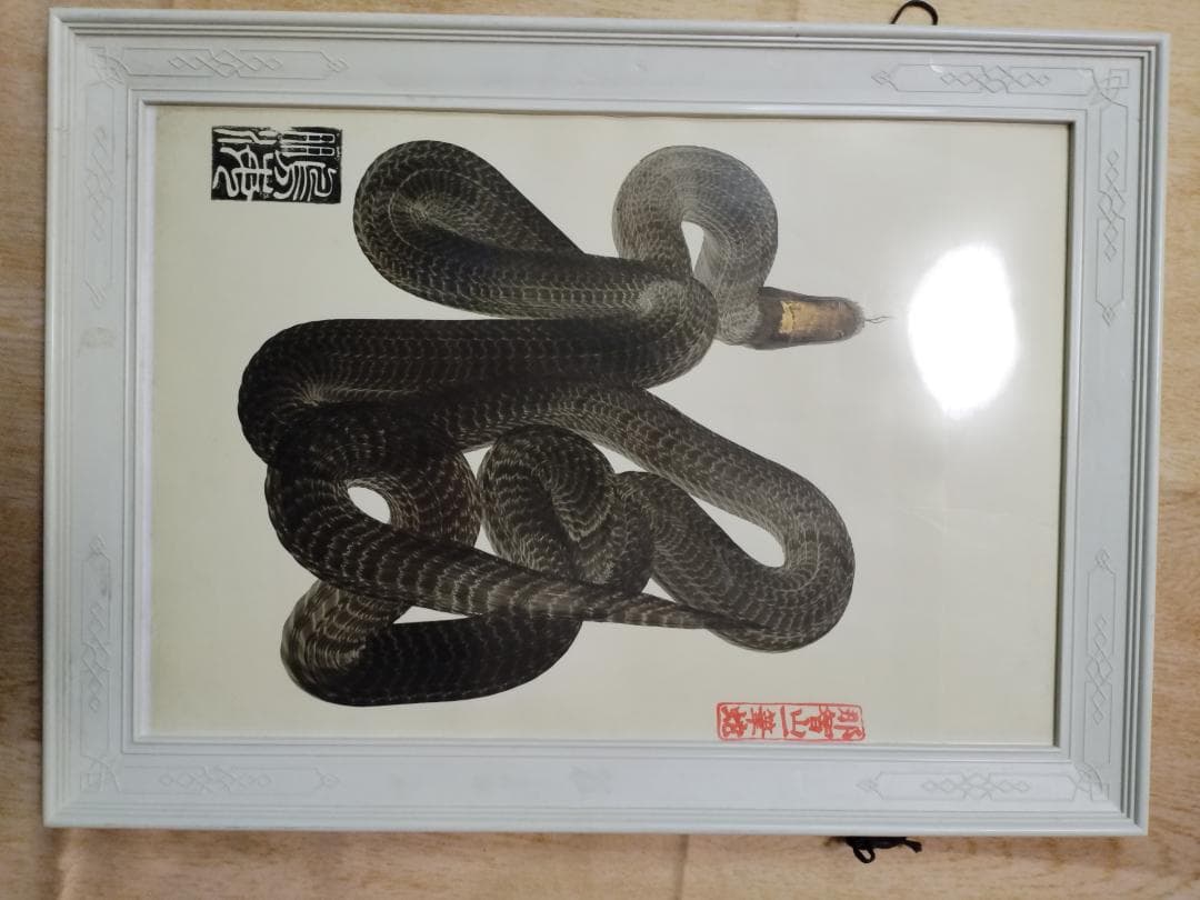 那智山一筆蛇