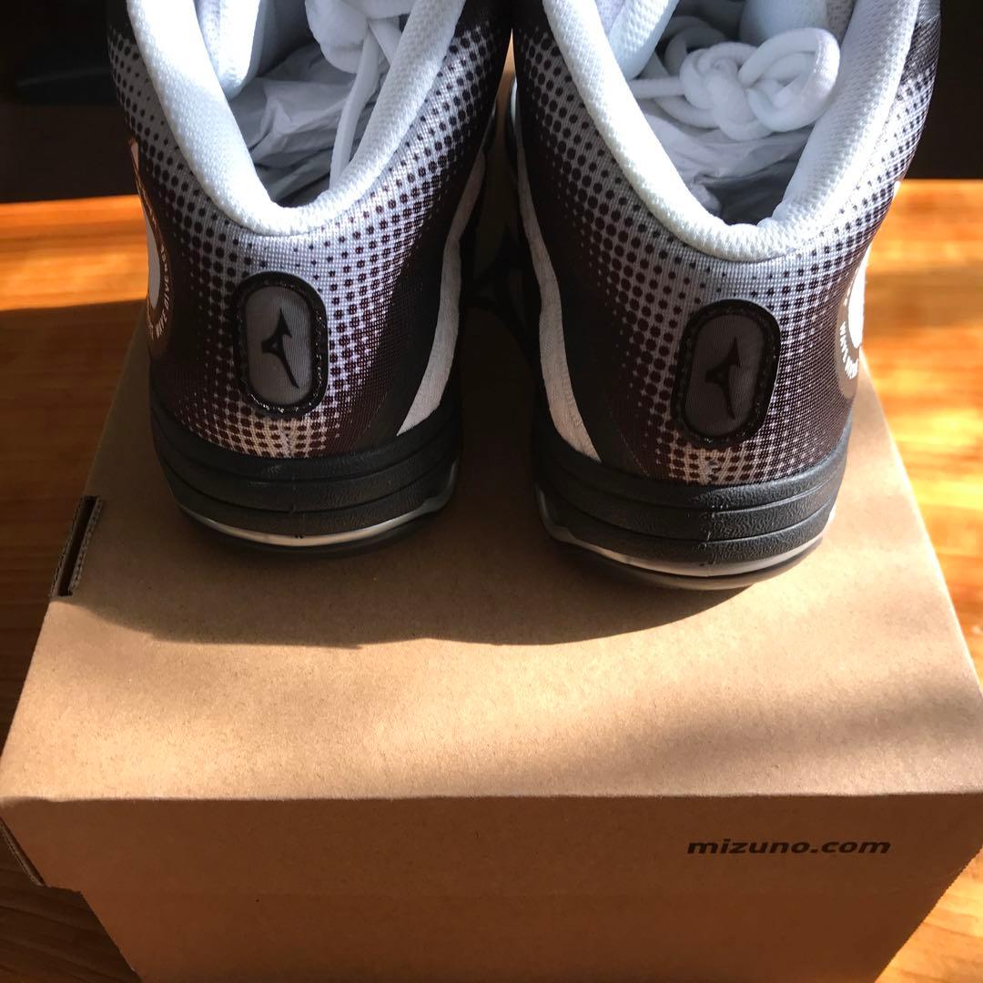 ミズノウェーブダイバーズL DE2