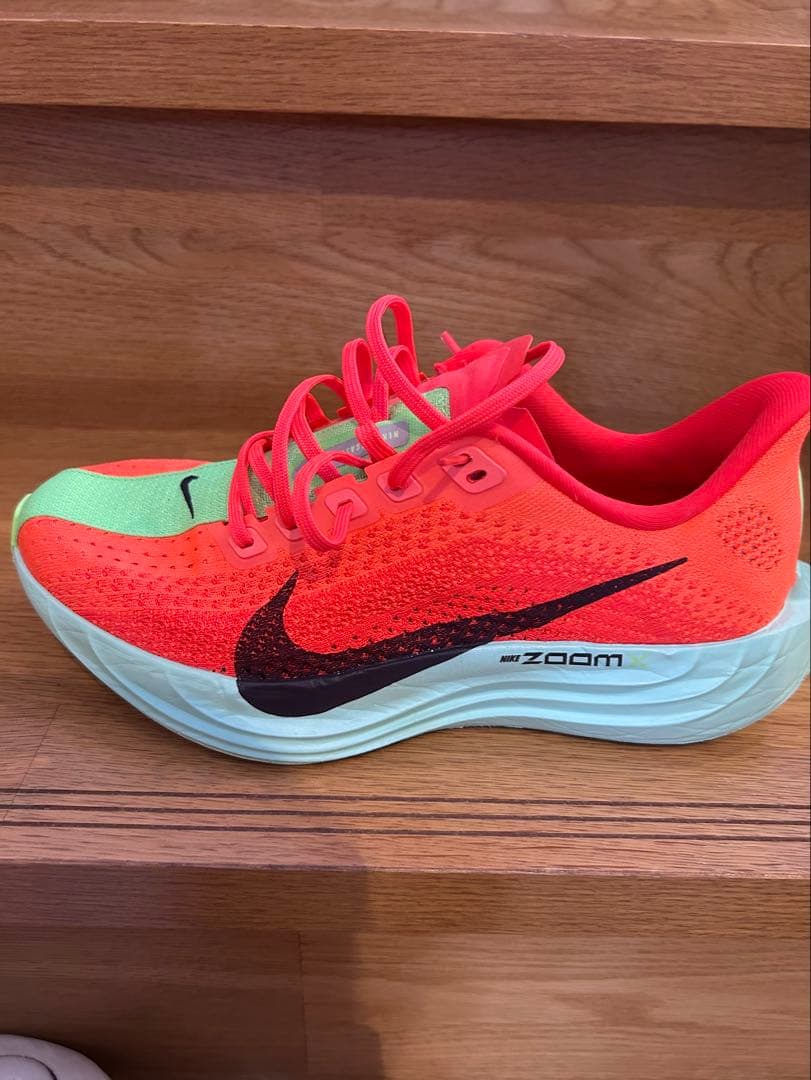 NIKE ペガサスプラス　25cm
