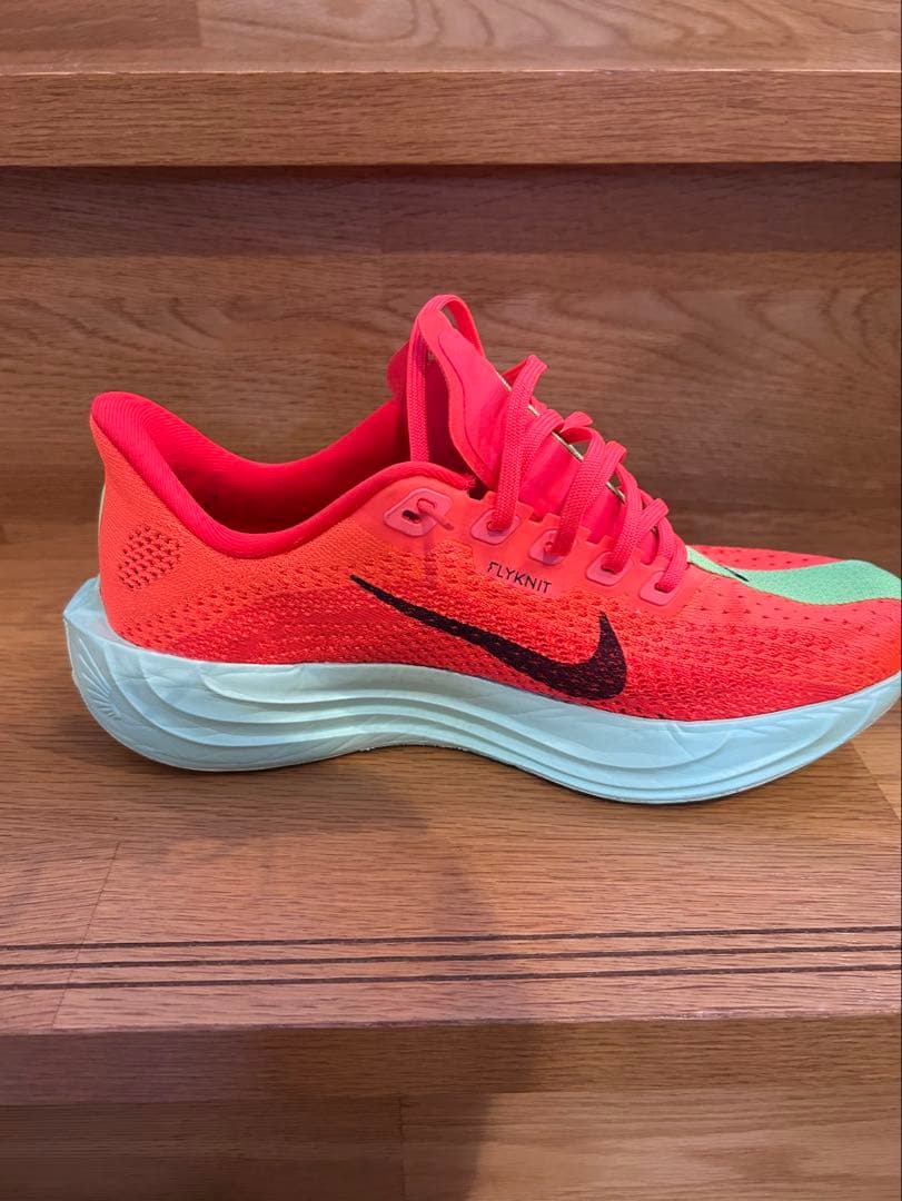 NIKE ペガサスプラス　25cm