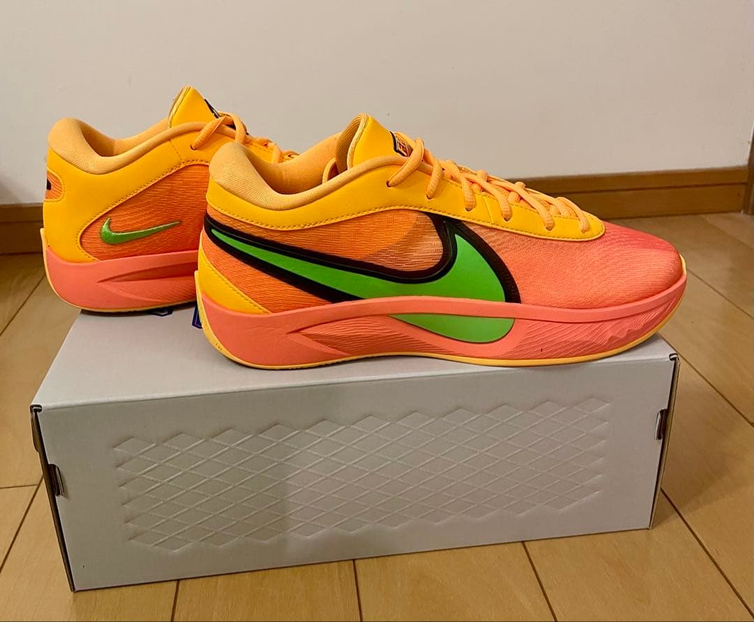 NIKE、ズームフリーク6 EP、26センチ