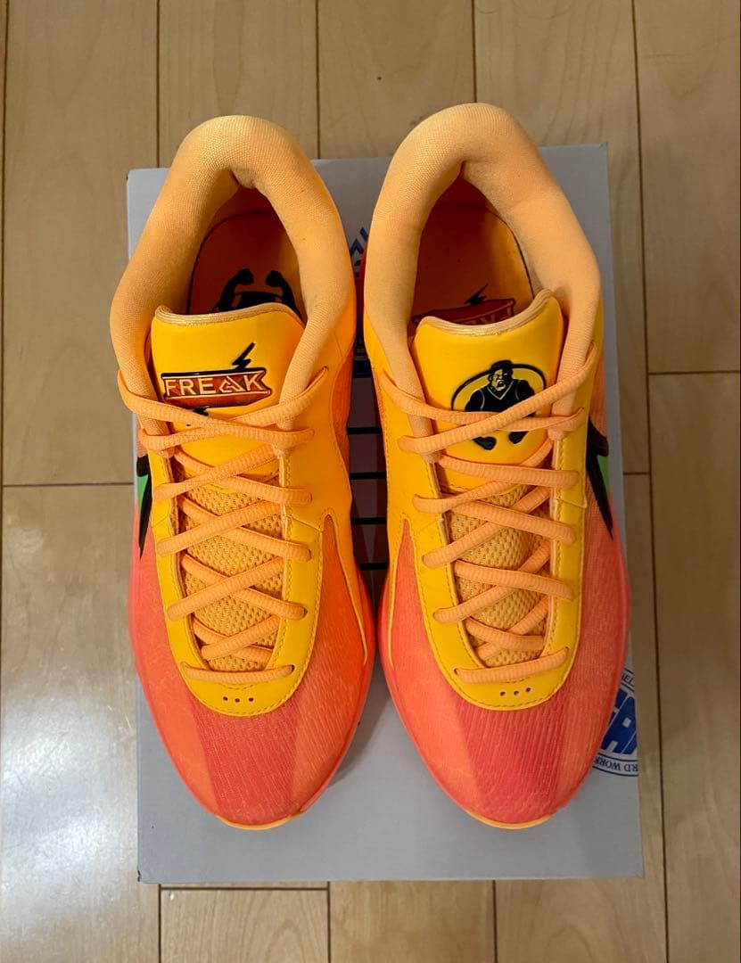 NIKE、ズームフリーク6 EP、26センチ