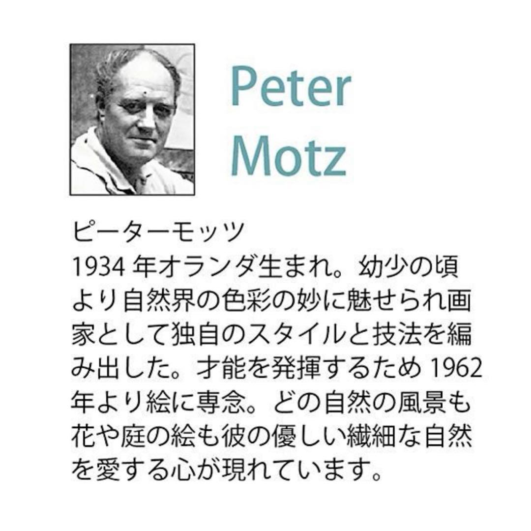 未使用品 ピーターモッツ 風景画 ホワイトフレーム