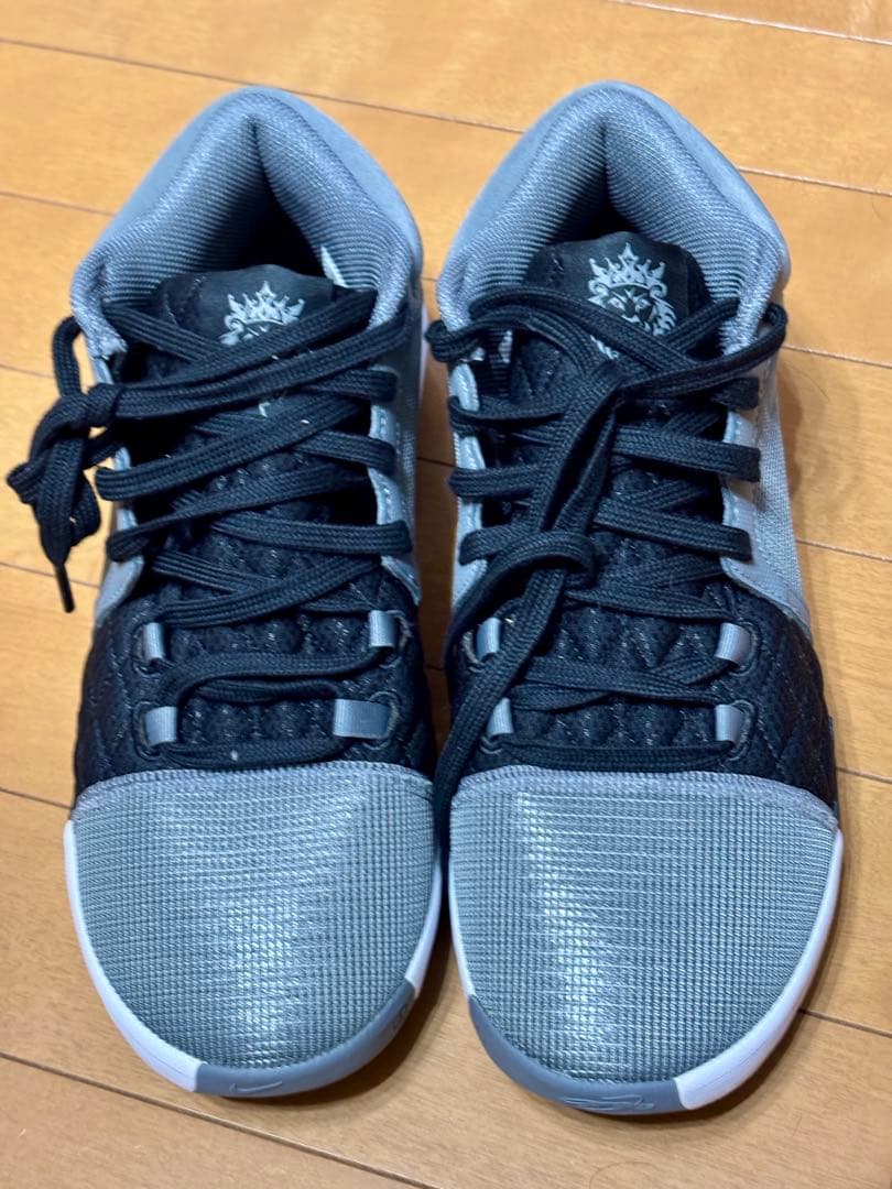 新品　ナイキ レブロン ウィットネス VIII EP 　Mens 27センチ