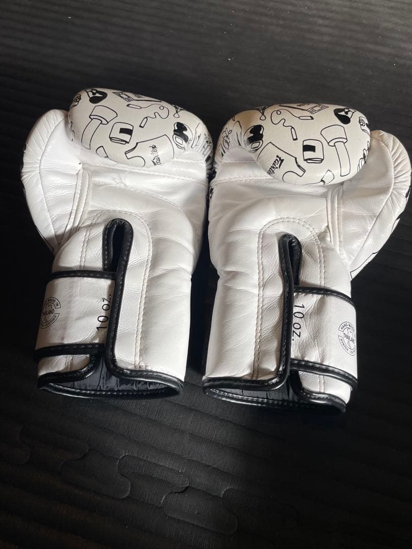 Fairtex ボクシンググローブ 10oz ホワイト