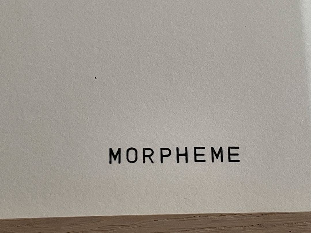 画家　作者不明　MORPHEME 2002 アート　額入　蕾　ボタニカルアート
