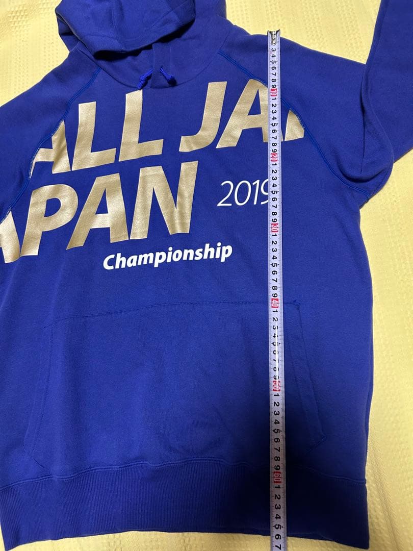 貴重DESCENTE デサント国体 インターハイ パーカー2019激レア L