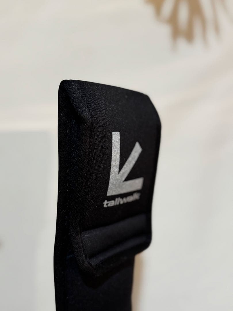 ⭐︎使用1回超美品 tailwalk Tip-bang TZ ティップランロッド