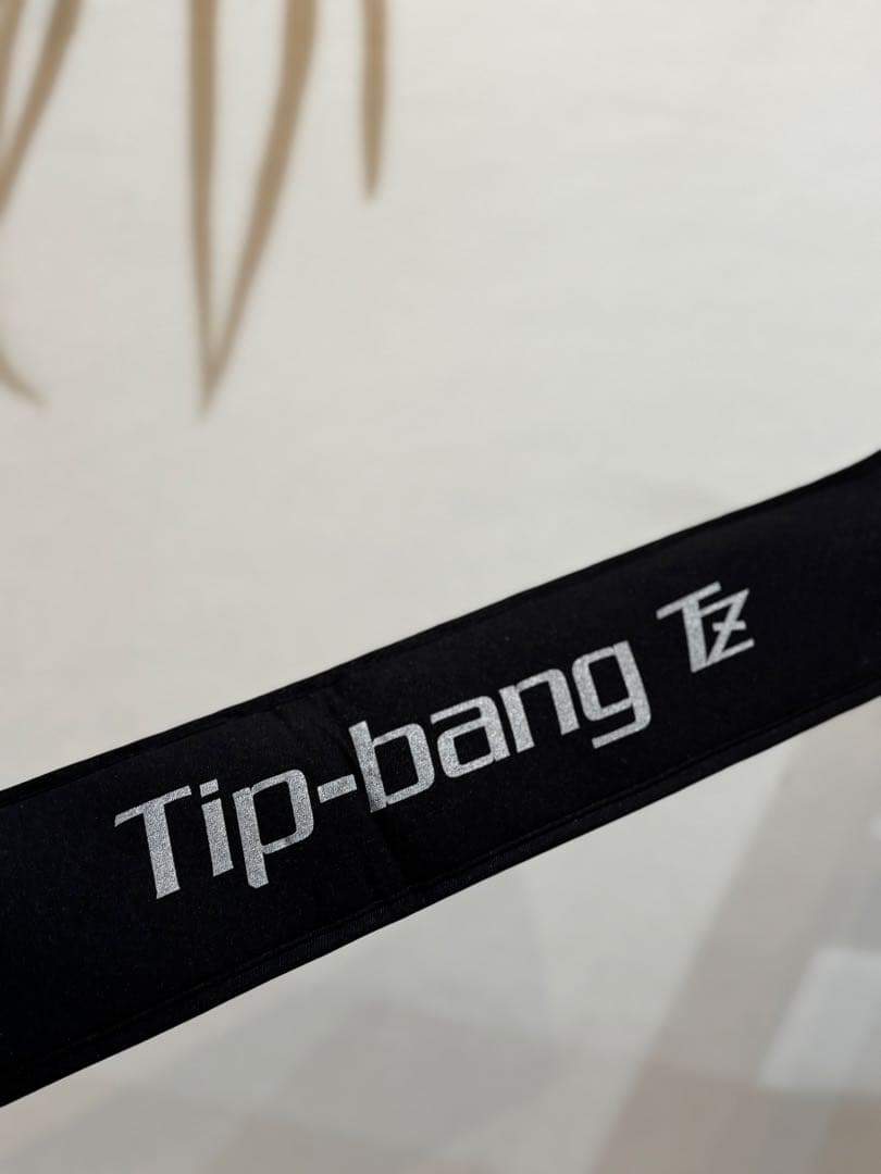 ⭐︎使用1回超美品 tailwalk Tip-bang TZ ティップランロッド