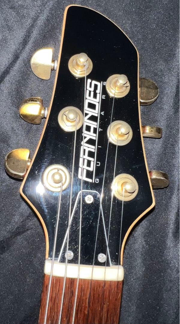 【Fernandes】APG-100