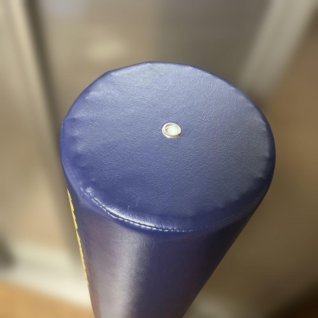 【美品】LPNストレッチポール(R)EX 青