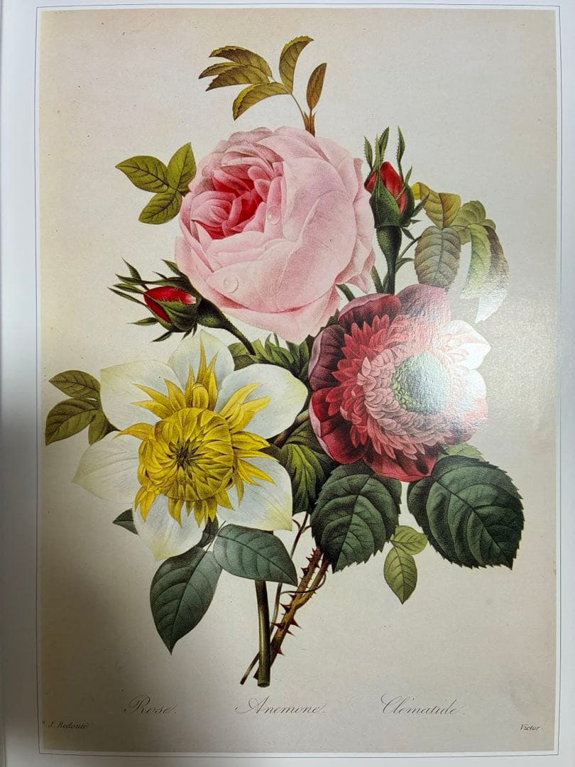 美花選（春、夏・秋）2冊セット