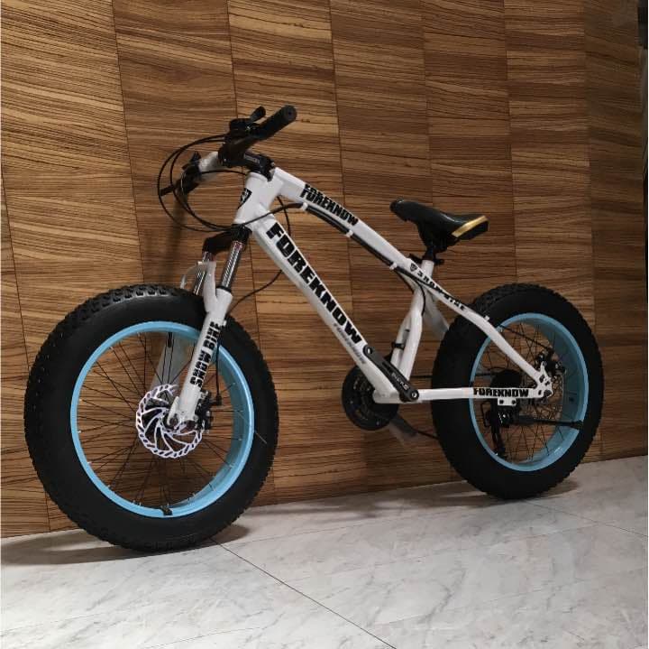 新品 ファットバイク ビーチクルーザー 20インチ