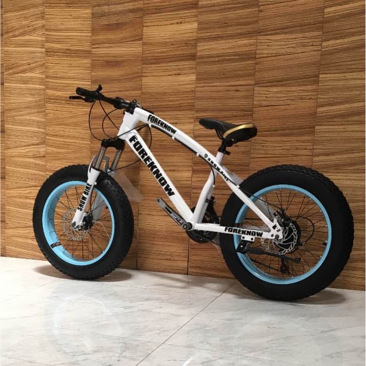 新品 ファットバイク ビーチクルーザー 20インチ
