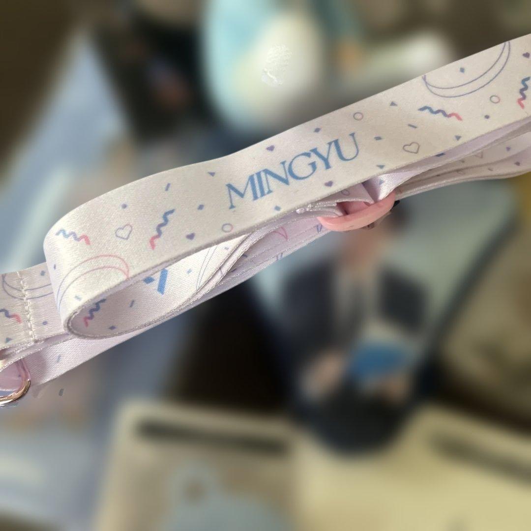 MINGYU SEVENTEEN CAFE グッズセット