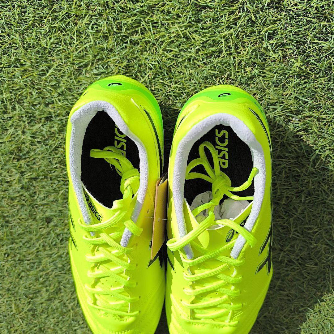 シューズ asics DS LIGHT ADVANCE WIDE 28.0cm