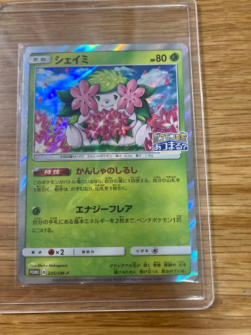 桜アフロのピカチュウ シェイミ　ポケモンの家あつまる？