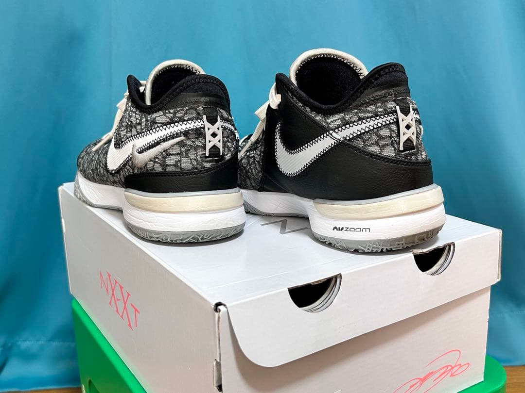 NIKE LEBRON NXXT Genナイキ レブロン　ネクストジェン26cm