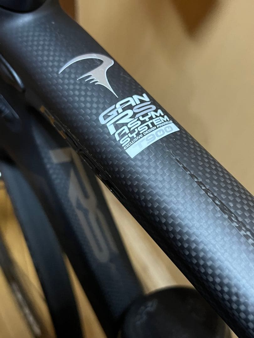 Pinarello ピナレロ ガン RS T900