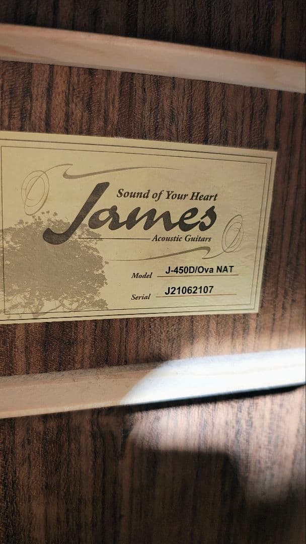美品★　James J-450D　Ova ピックアップ搭載　カーボン おまけ有り