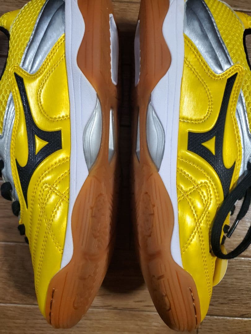 Mizuno ウェーブクレヴィスタプロ 25.0cm