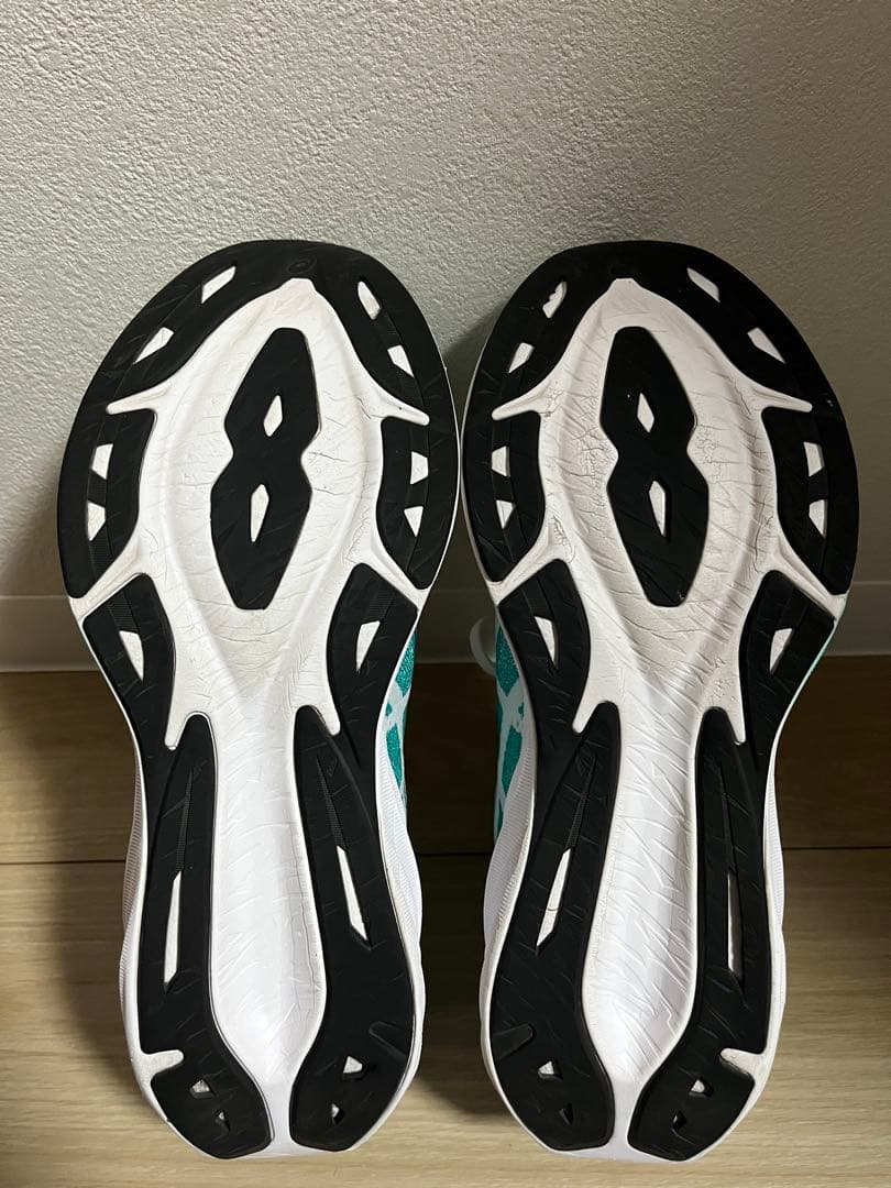 asics dynablast5 アシックス　ダイナブラスト5 28.5センチ