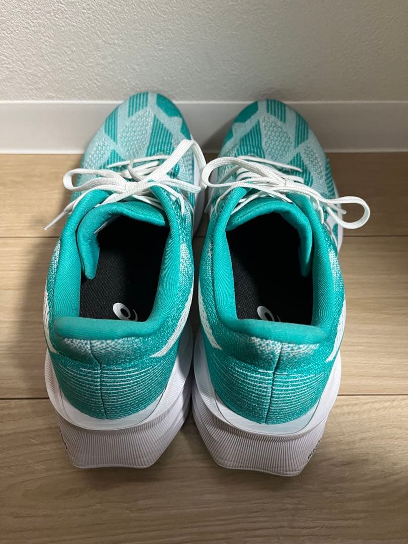 asics dynablast5 アシックス　ダイナブラスト5 28.5センチ