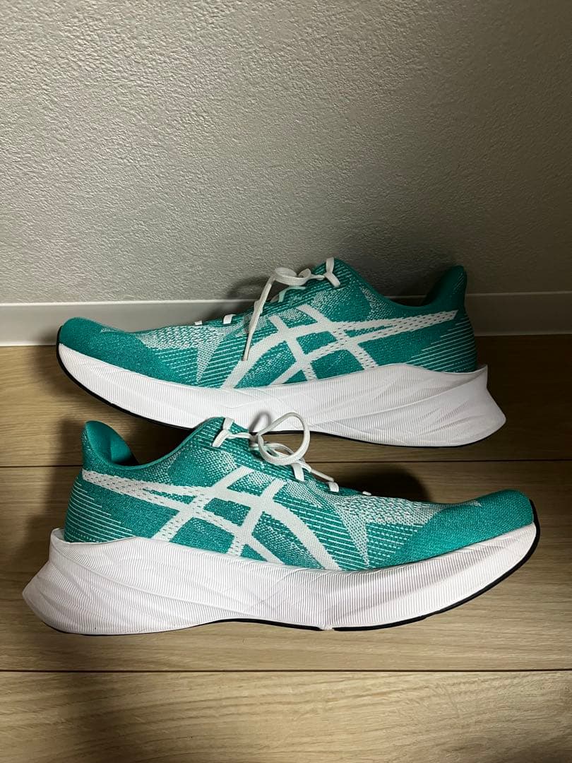 asics dynablast5 アシックス　ダイナブラスト5 28.5センチ