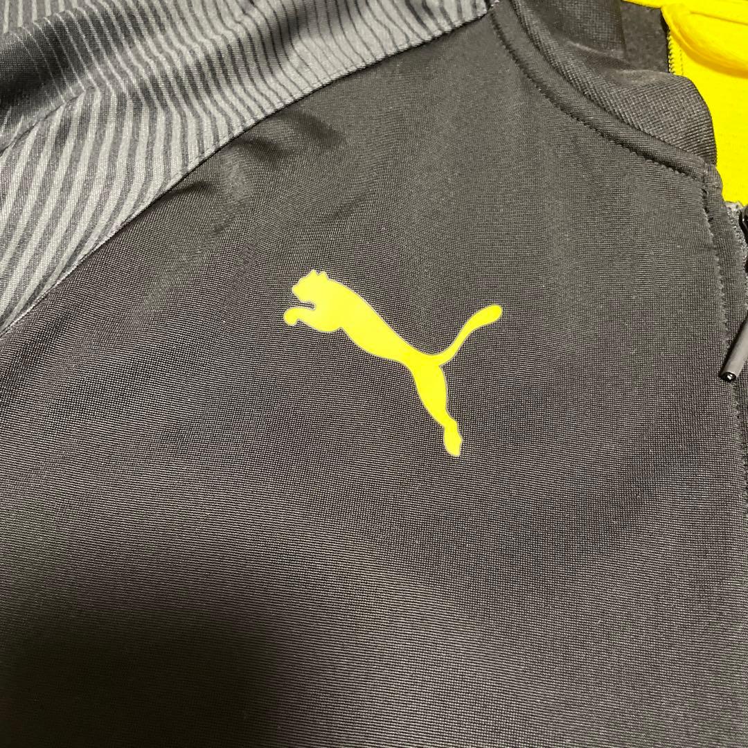 極美品 PUMA BVB09 ボルシア ドルトムント Track Jacket