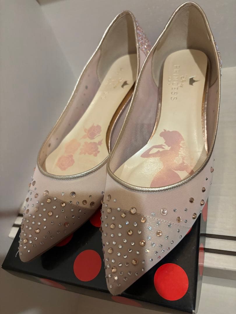 バレエ Disney Princess Diana