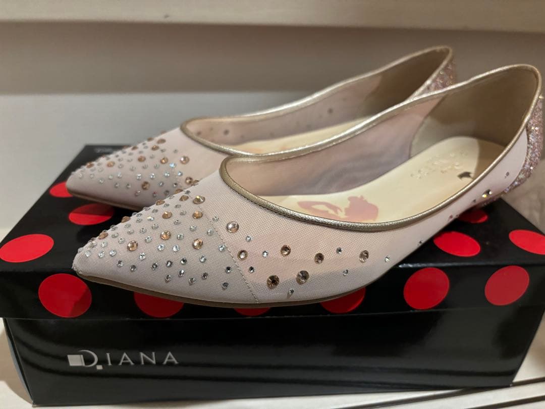 バレエ Disney Princess Diana