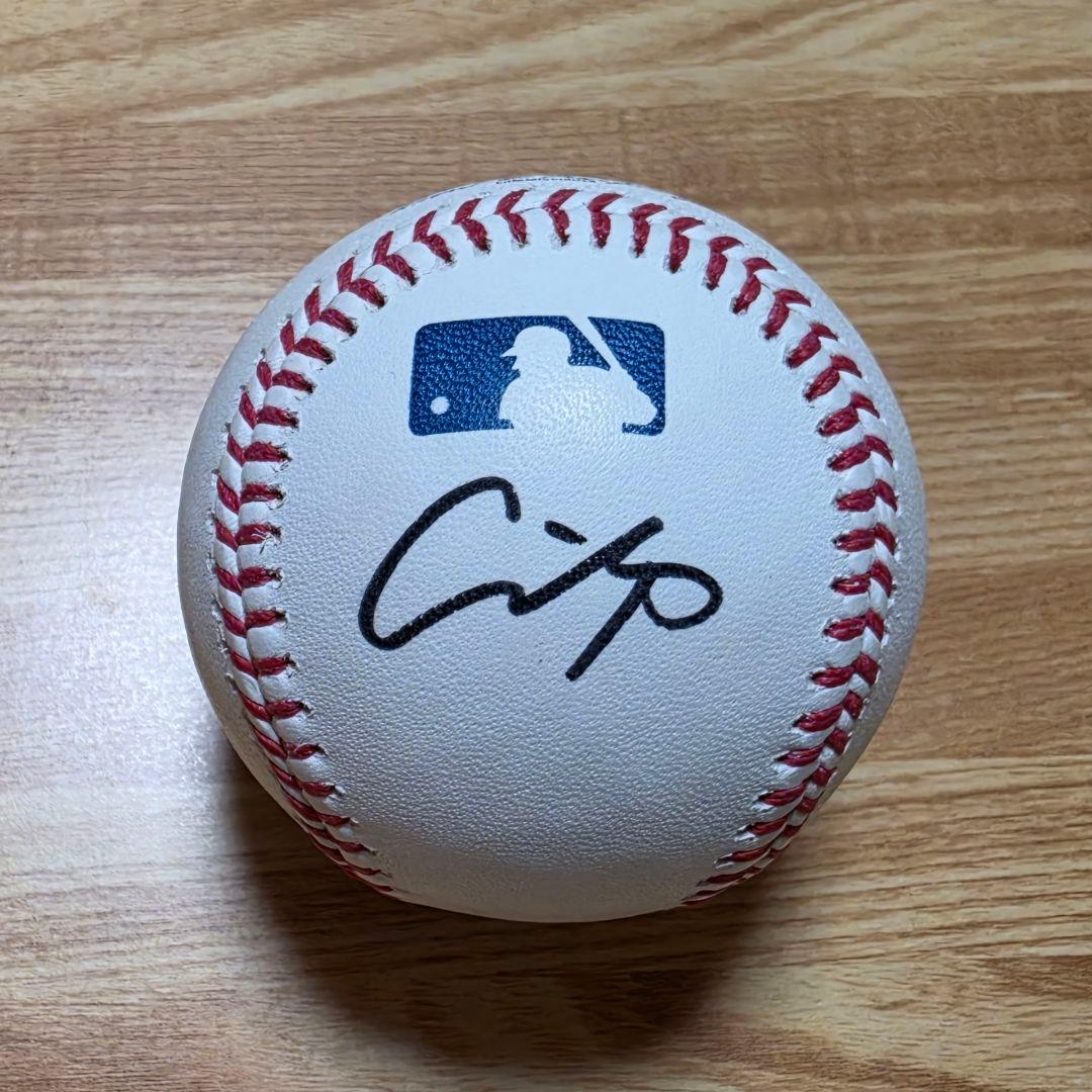 大谷翔平 直筆サインボール MLB 公式球 試合球