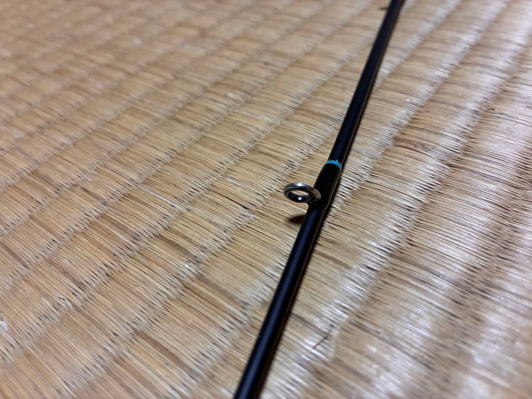デジーノレーベン スラング バスタ 送料込