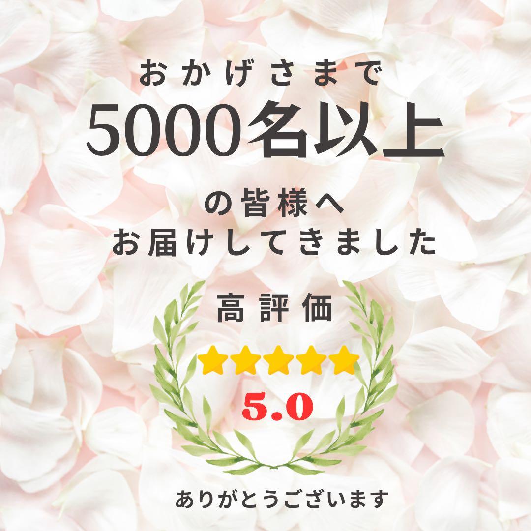 パールハンドル付き クリアボックスフラワー｜春の彩り想いが伝わるギフトアレンジ