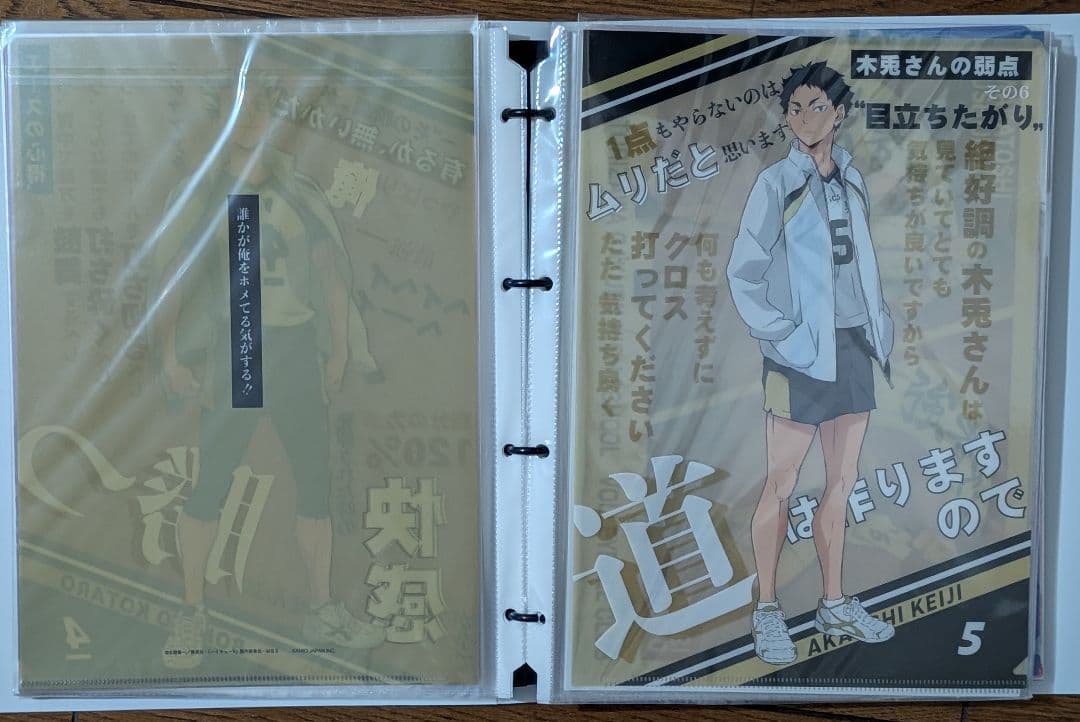 ハイキュー　クリアファイル　コンプ　アニメイト　完売品