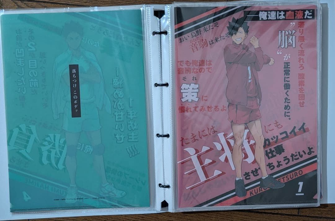 ハイキュー　クリアファイル　コンプ　アニメイト　完売品