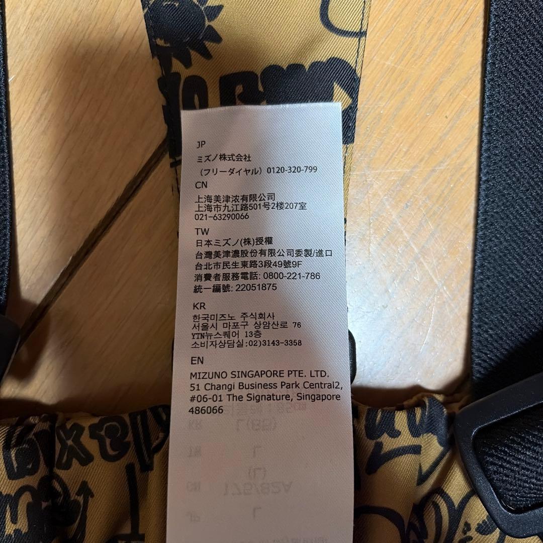 MIZUNO スキーウェア　上下　ブレスサーモ　メンズL