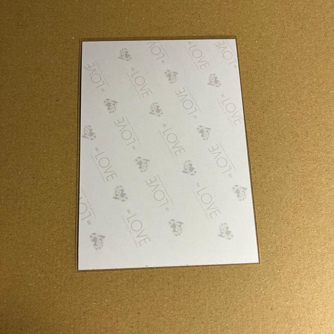 佐々木舞香 直筆 生写真 武道館