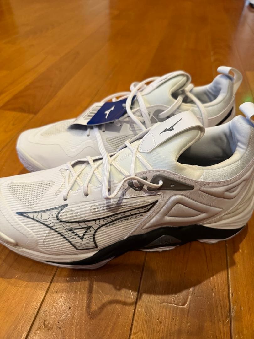 Mizuno バレーボールシューズ ホワイト28センチ