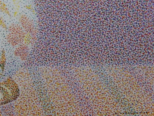 山田嘉彦、【薔薇】、希少な大判額装用画集より、美品、日本人画家、新品額装付