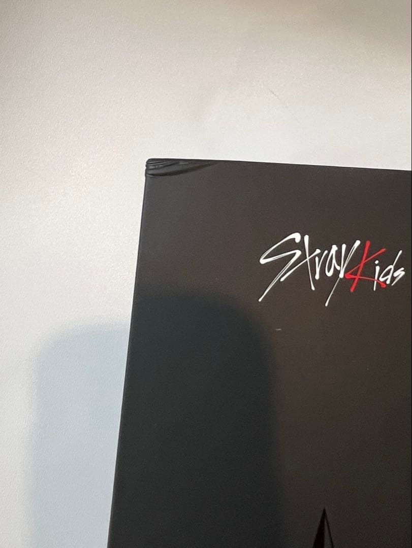 Stray Kids ペンライト ver.2 ペンライトカバー ジニレット