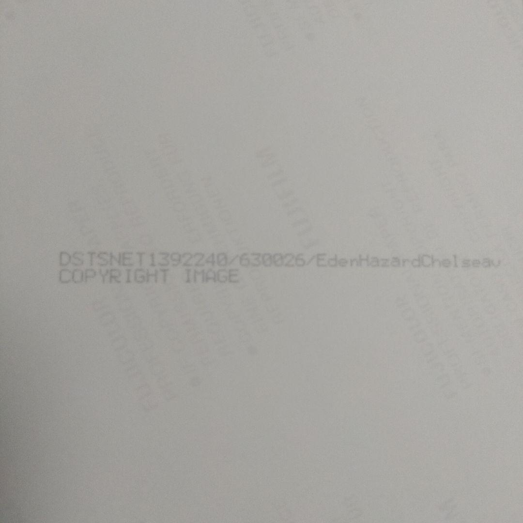 エデン・アザール 直筆サイン 証明書あり
