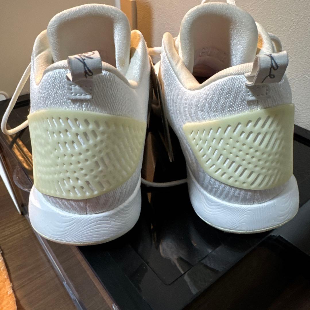 未使用品　JORDAN CP3.Х AE (LT OREWOOD
