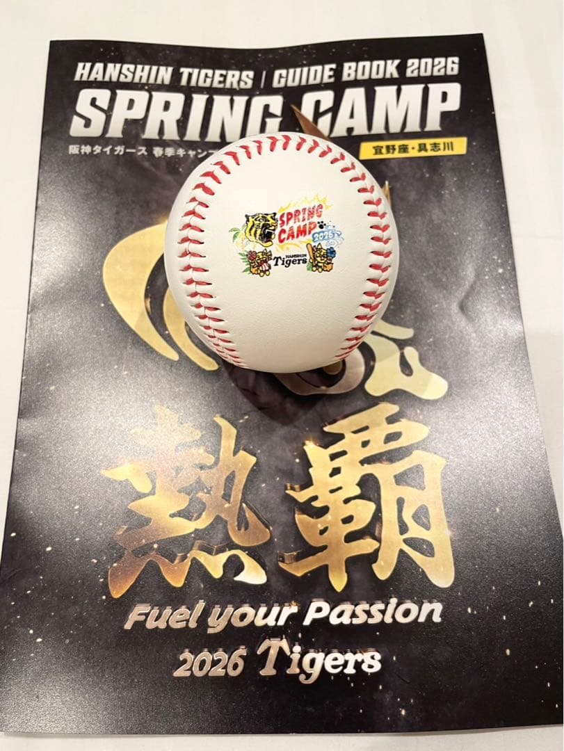 阪神タイガース　中野拓夢　直筆サインボール　2026沖縄キャンプ限定球
