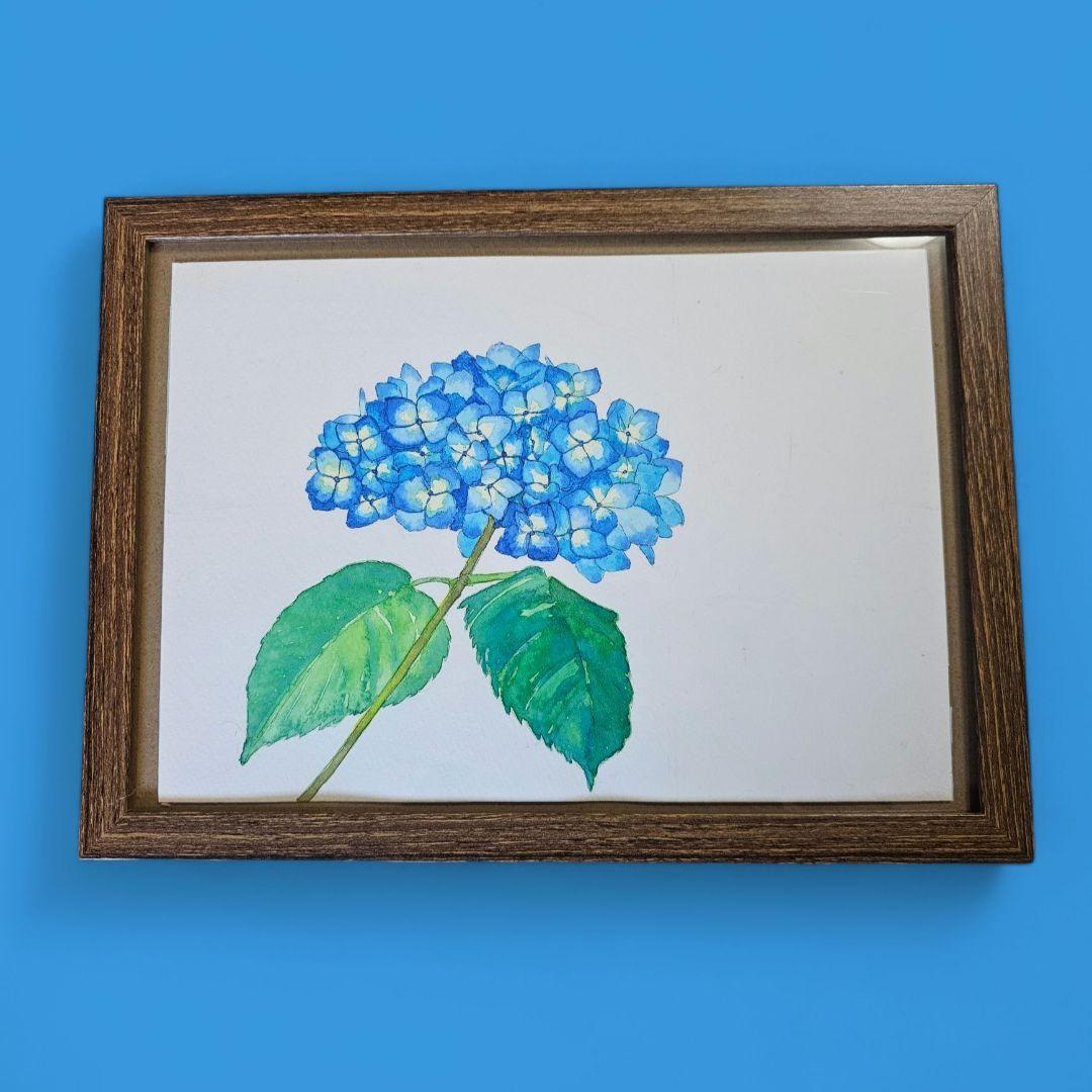 【原画販売】青い紫陽花の水彩画