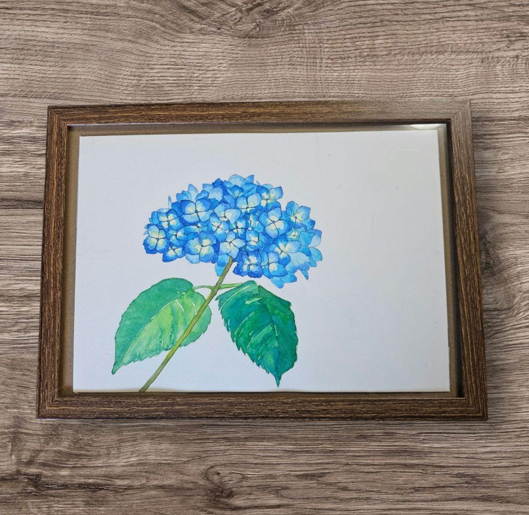【原画販売】青い紫陽花の水彩画
