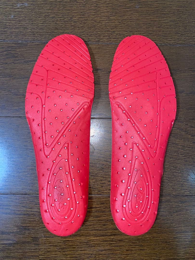 アシックス DS LIGHT X-FLY PRO2 26.0 cm