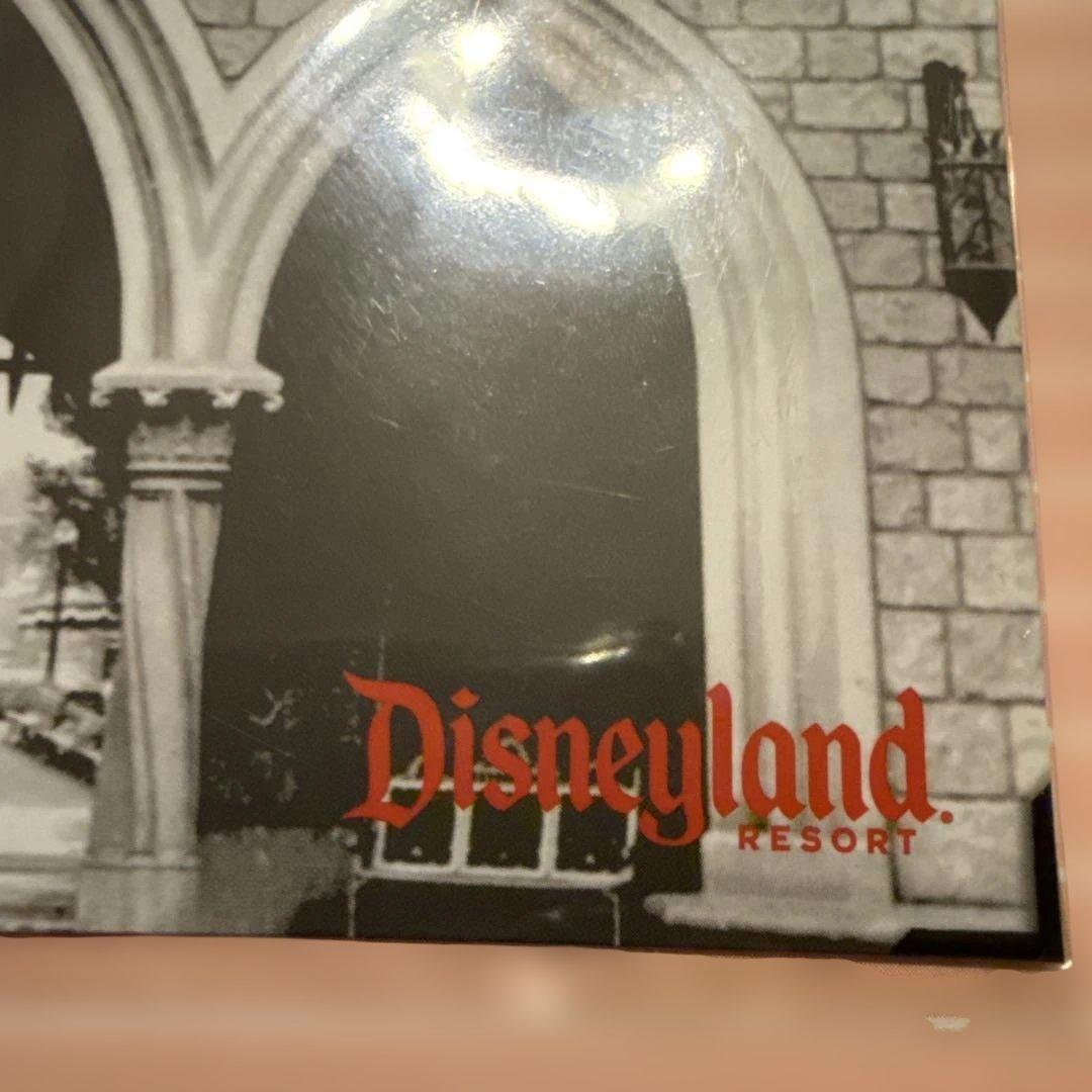 ディズニー Disney ウォルト スプラッシュマウンテン ピンバッジ