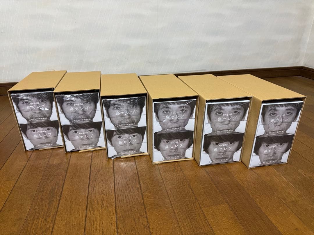 【6セット(12箱)】ネピア鼻セレブMr.Children半世紀へのエントランス
