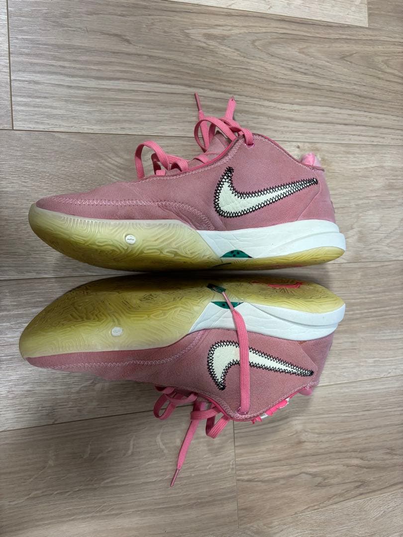 lebron 20　レブロン　28.5cm サウスビースト